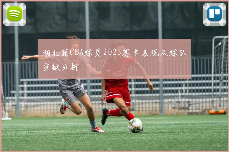 湖北籍CBA球员2025赛季表现及球队贡献分析