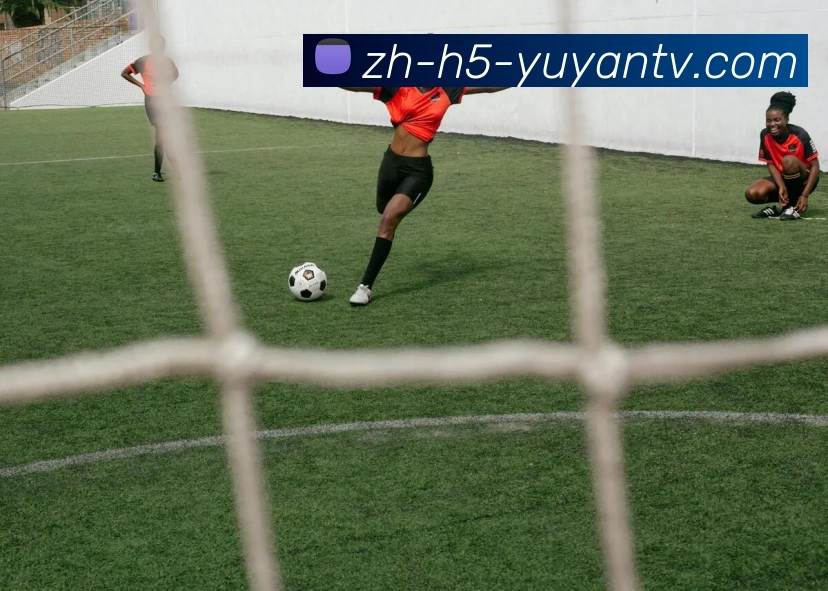 雨燕直播发展历程